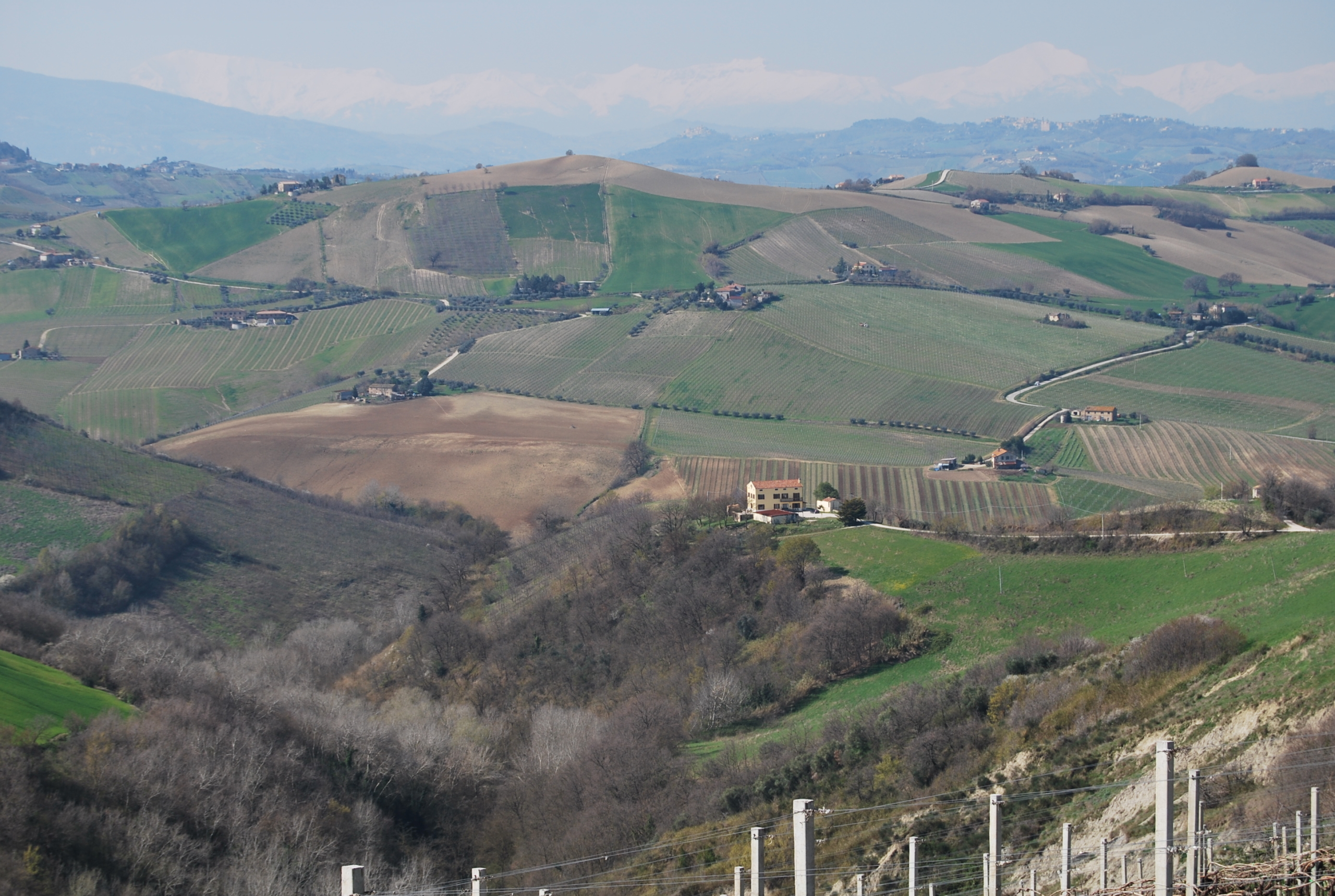 marche property