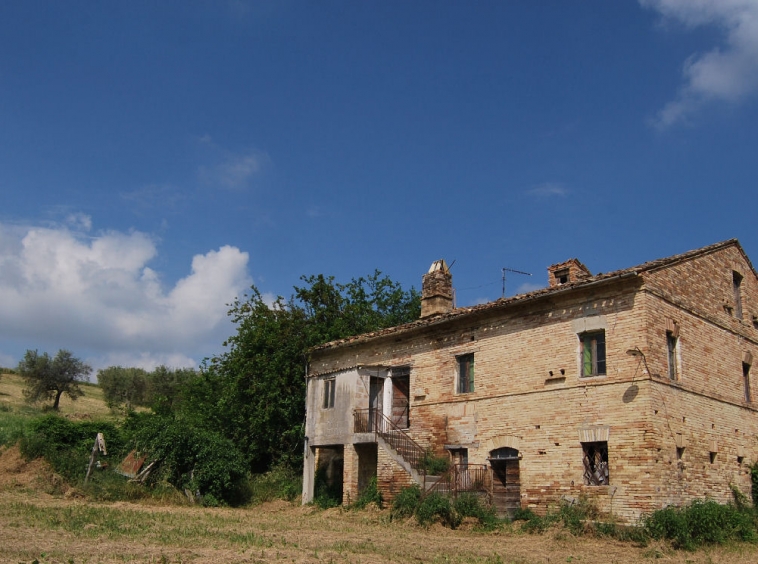 Country house with olive grove