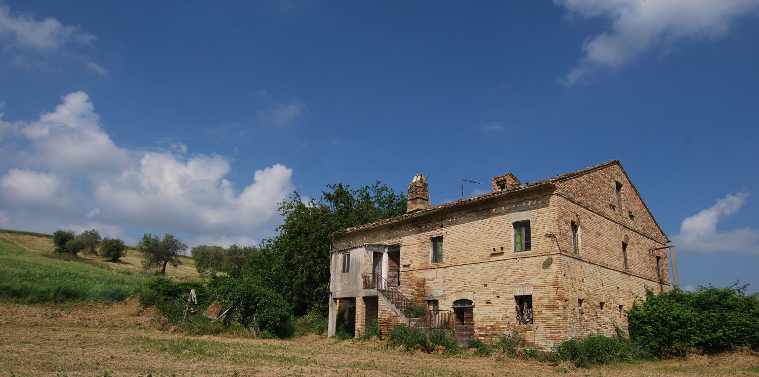 Country house with olive grove