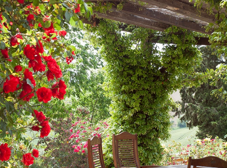 Agriturismo with campsite and organic farm.