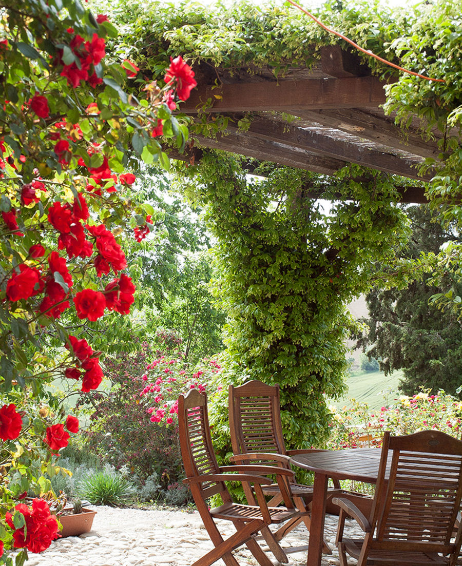 Agriturismo with campsite and organic farm.
