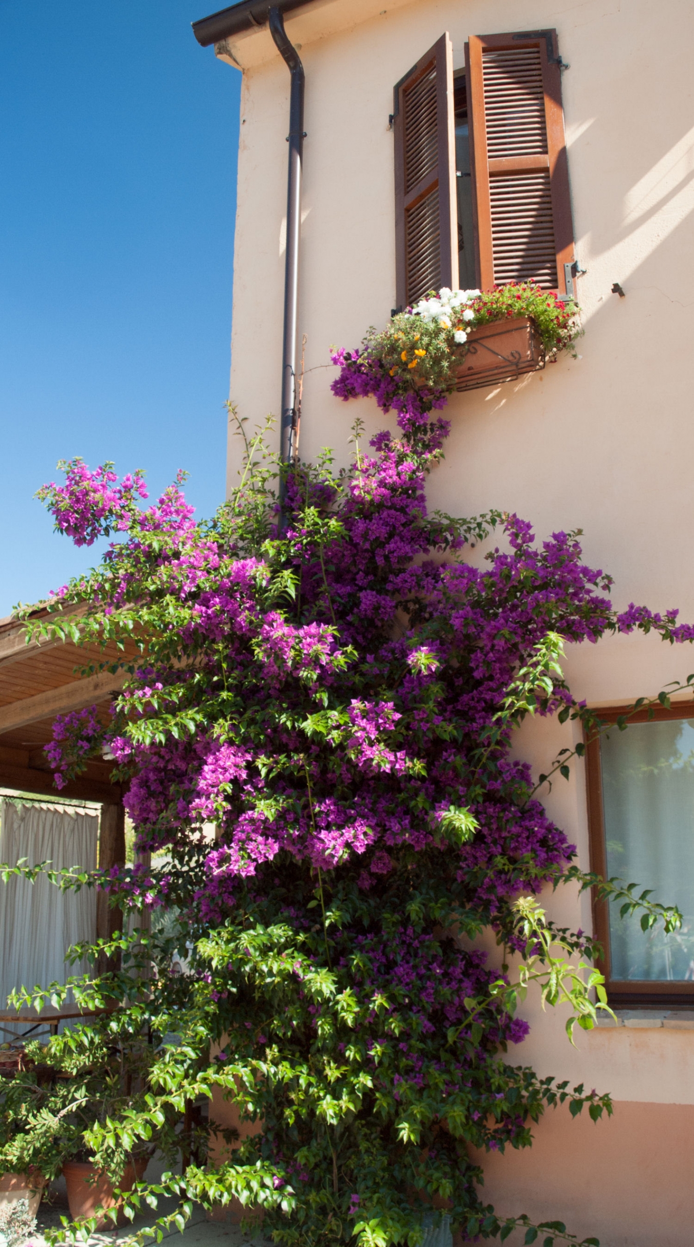 Agriturismo with campsite and organic farm.