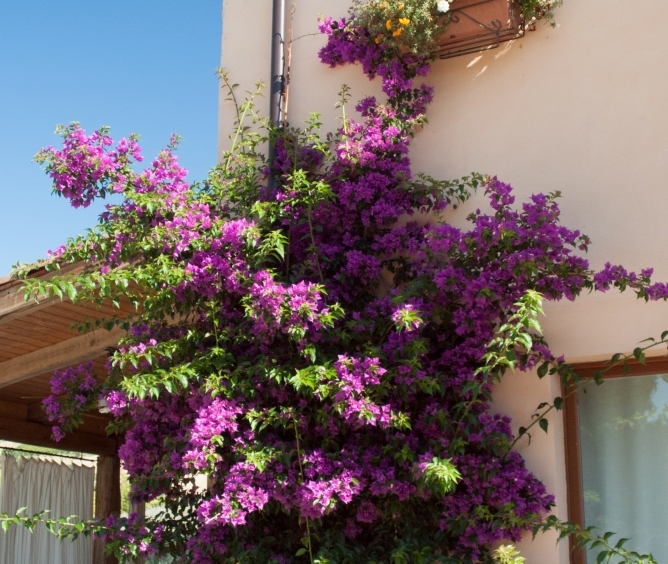 Agriturismo with campsite and organic farm.