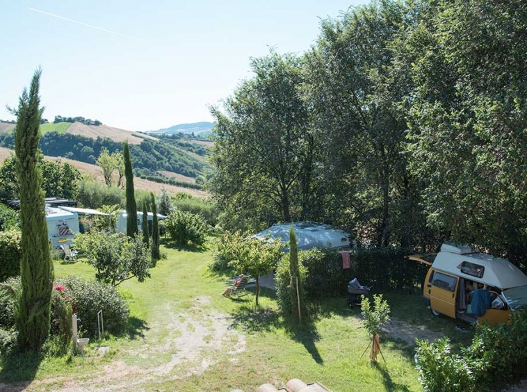 Agriturismo with campsite and organic farm.