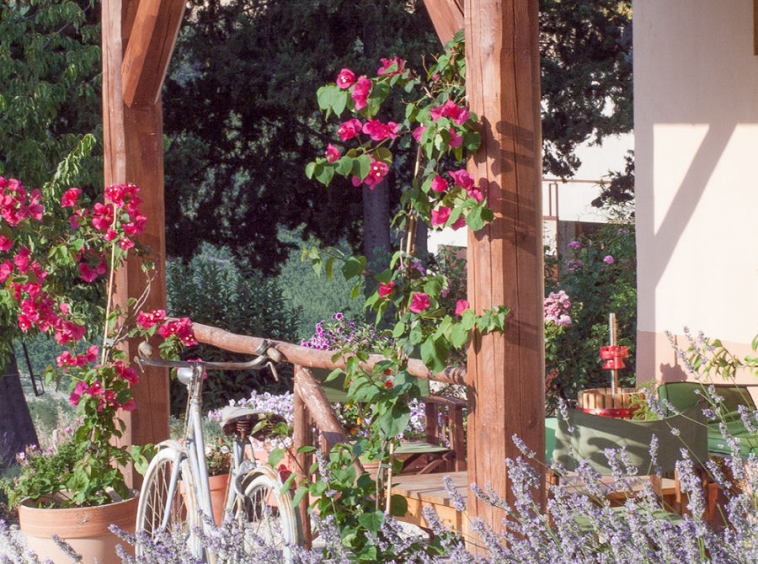 Agriturismo with campsite and organic farm.