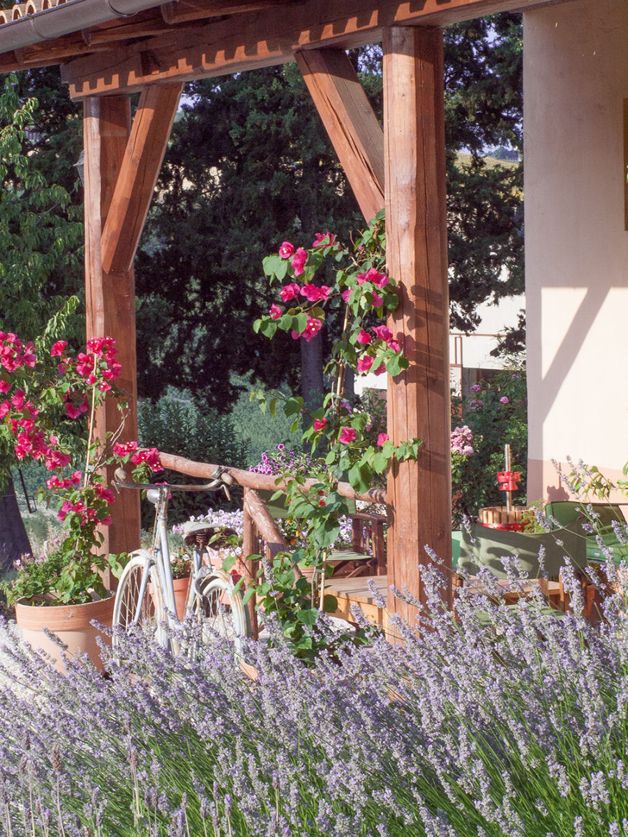 Agriturismo with campsite and organic farm.