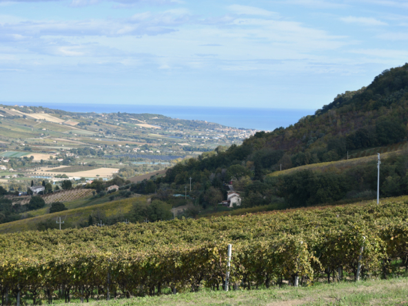 Plot of land with seaview