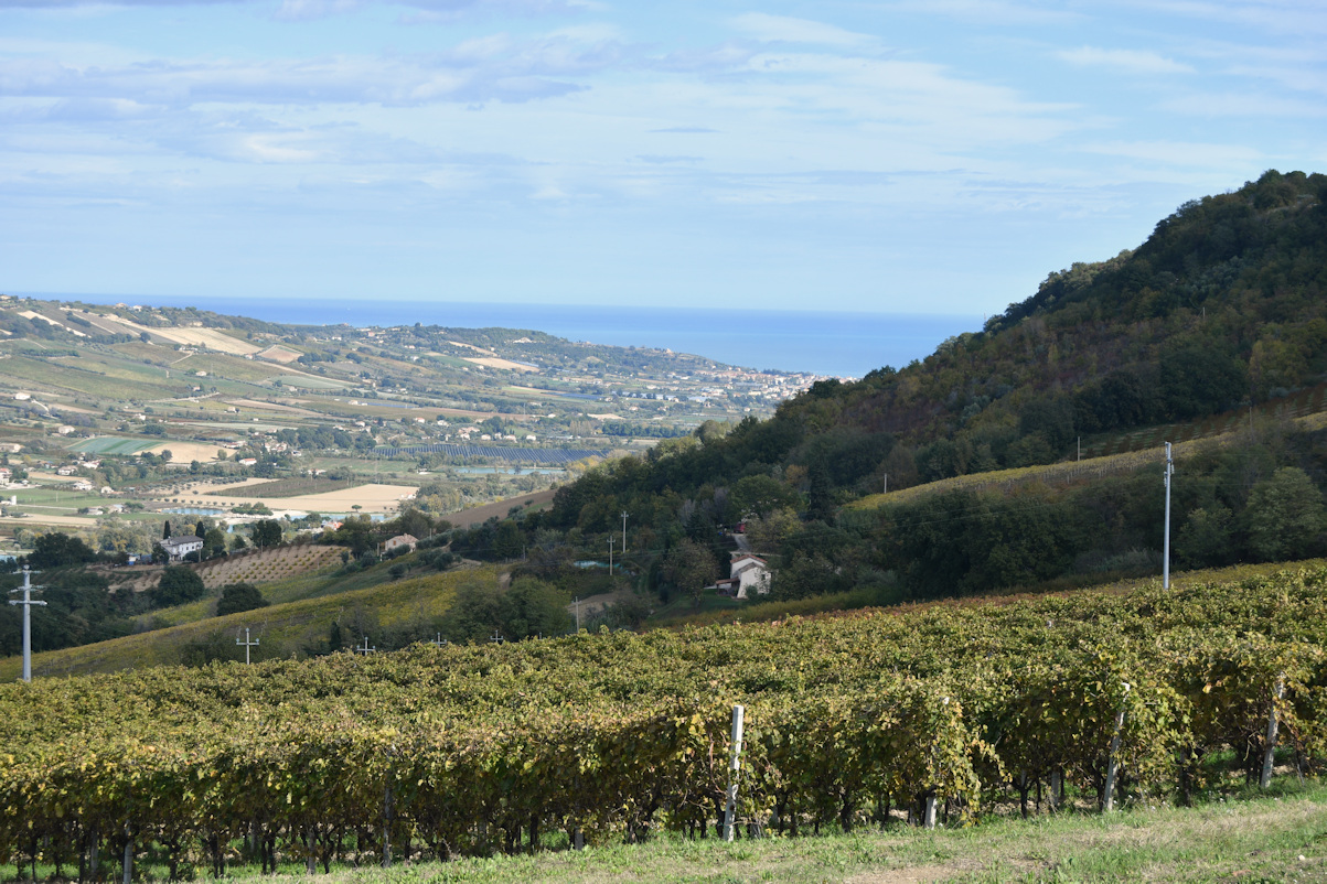 Plot of land with seaview