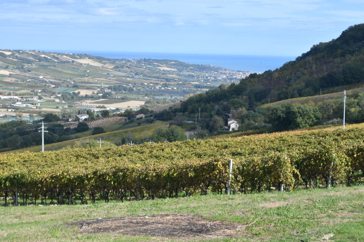 Plot of land with seaview