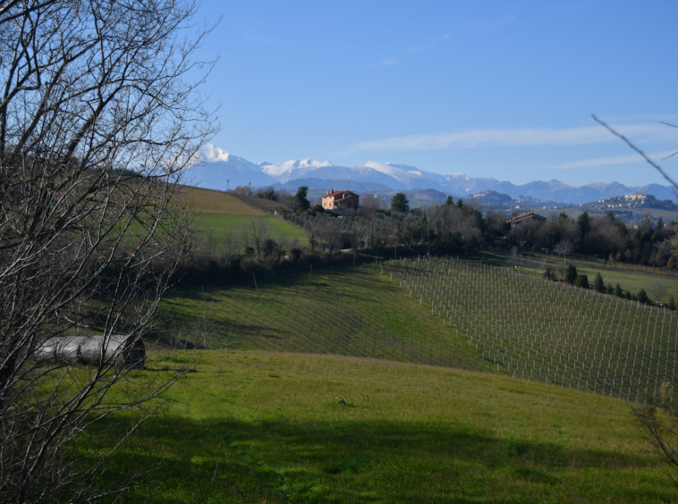 Farmhouse with Sibillini Mountains view