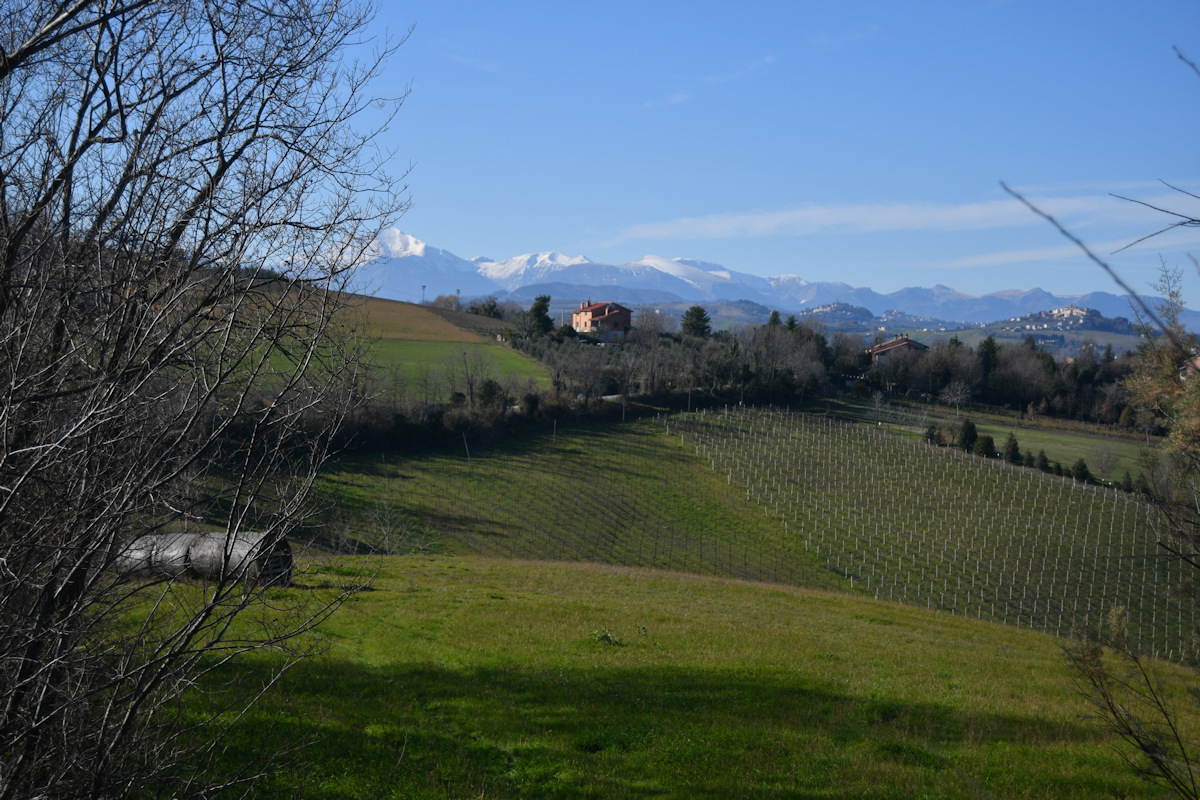 Farmhouse with Sibillini Mountains view