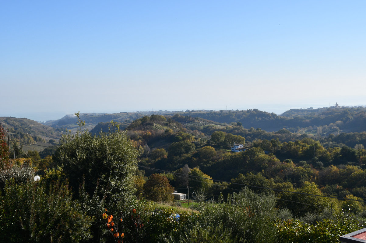 marche property