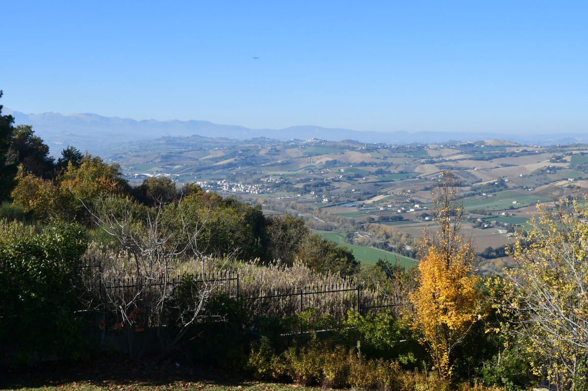 marche property