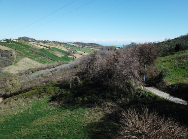 marche property