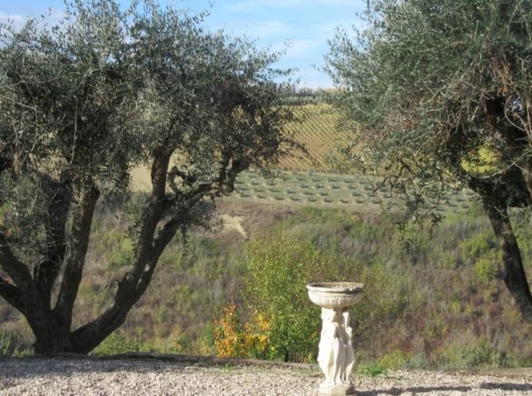 marche property