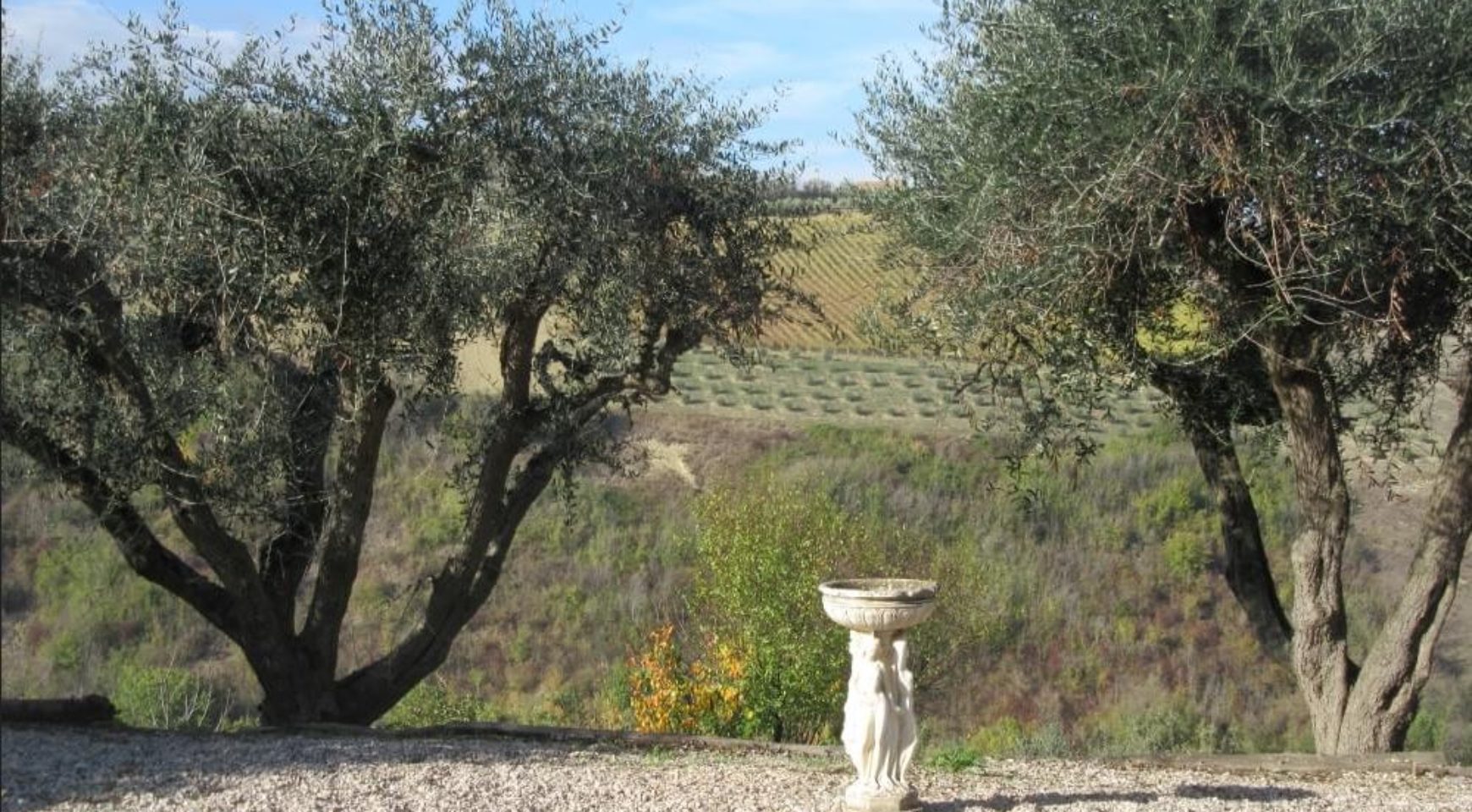 marche property