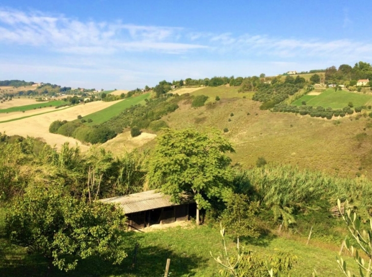 marche property