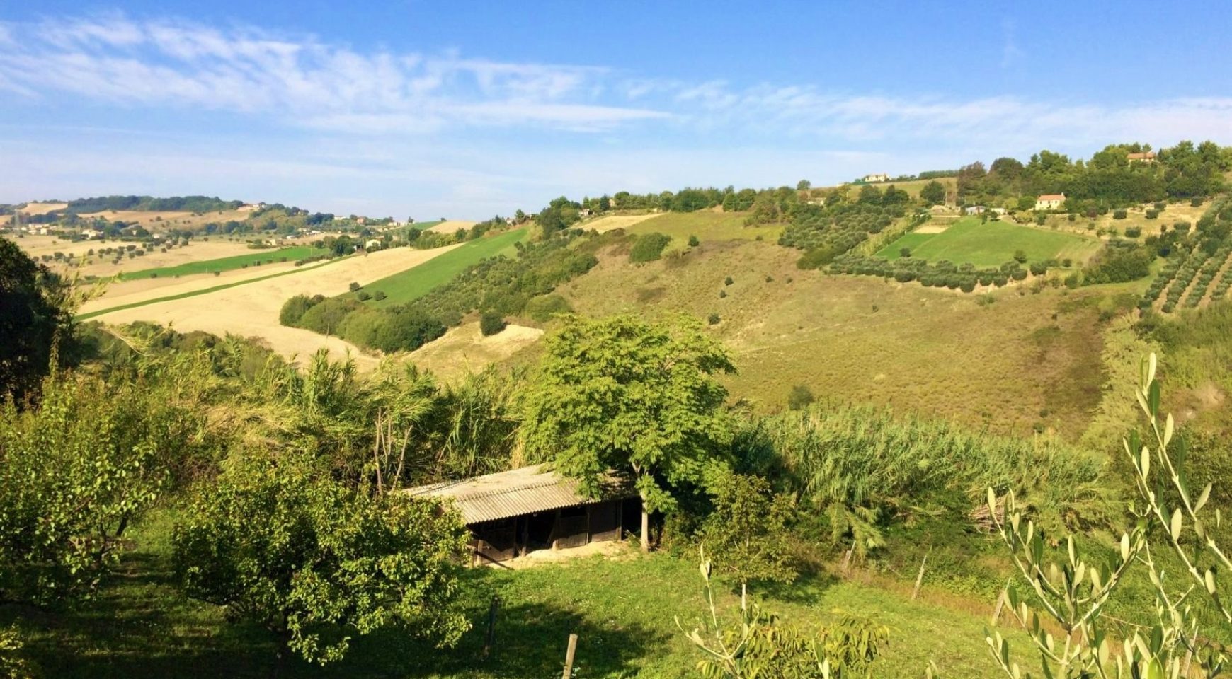 marche property