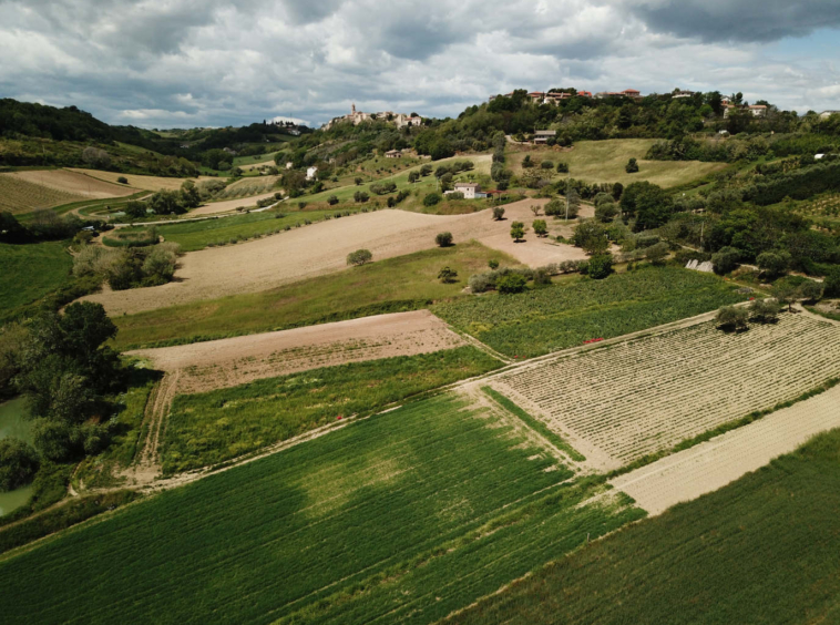 marche property