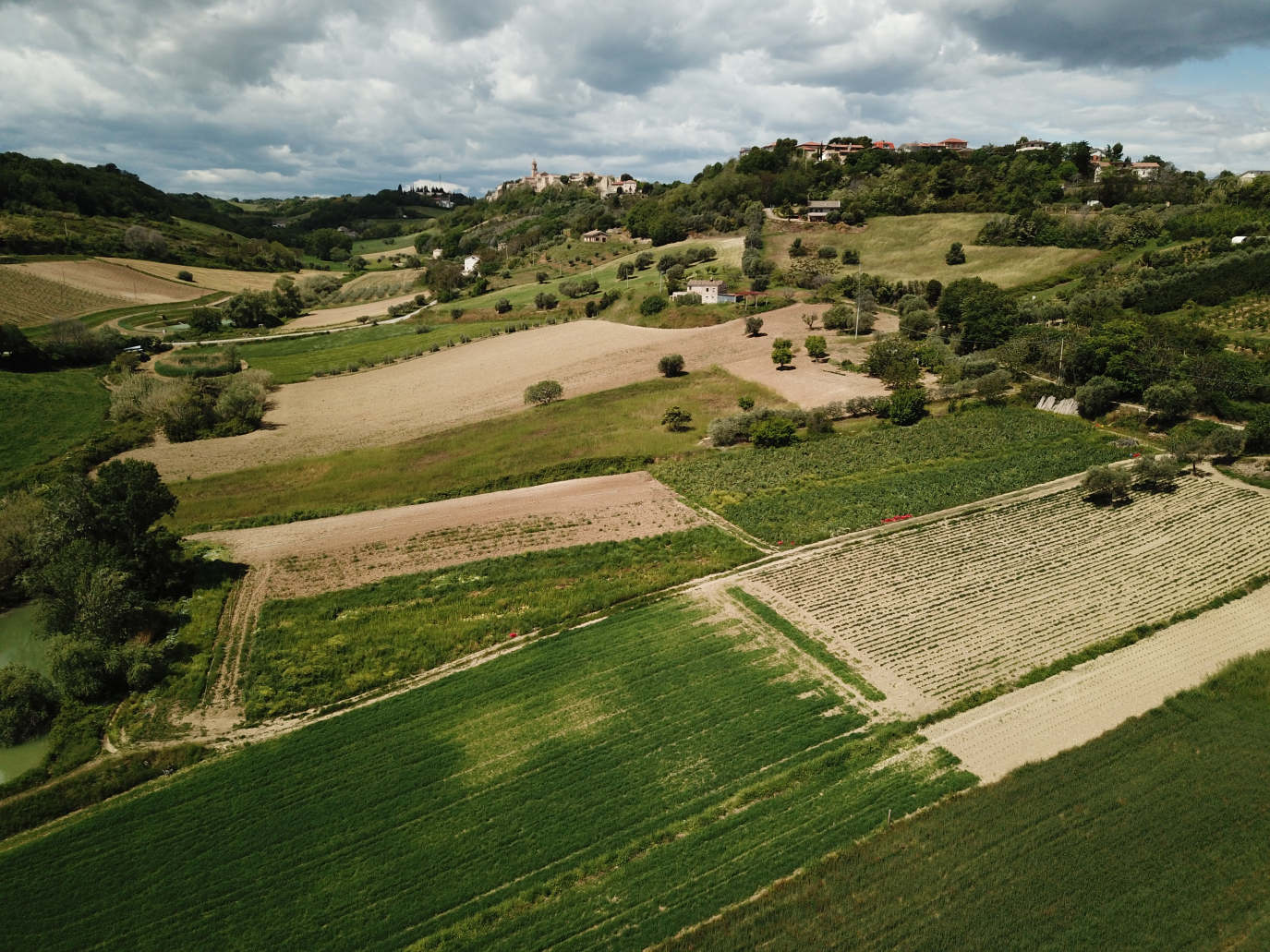 marche property