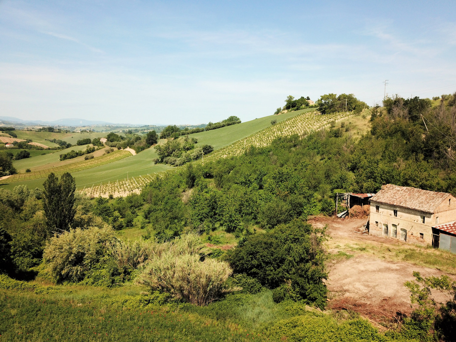 Historical country house with plenty of privacy Historical country house with plenty of privacy