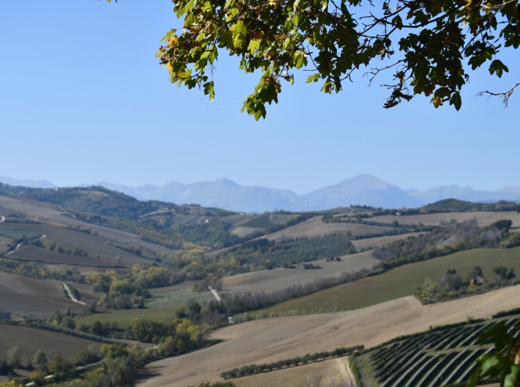 Country house with Mountains view