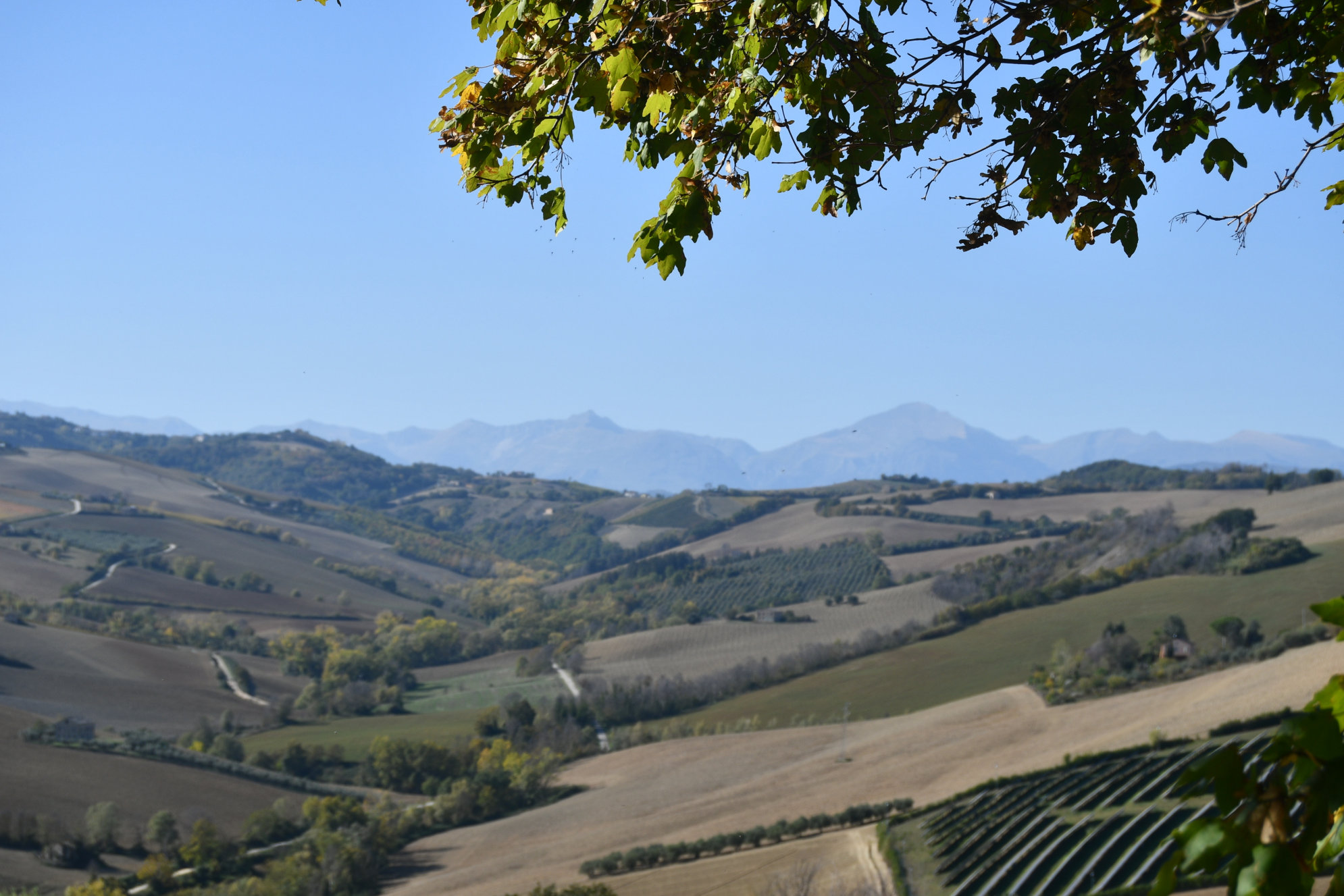 Country house with Mountains view