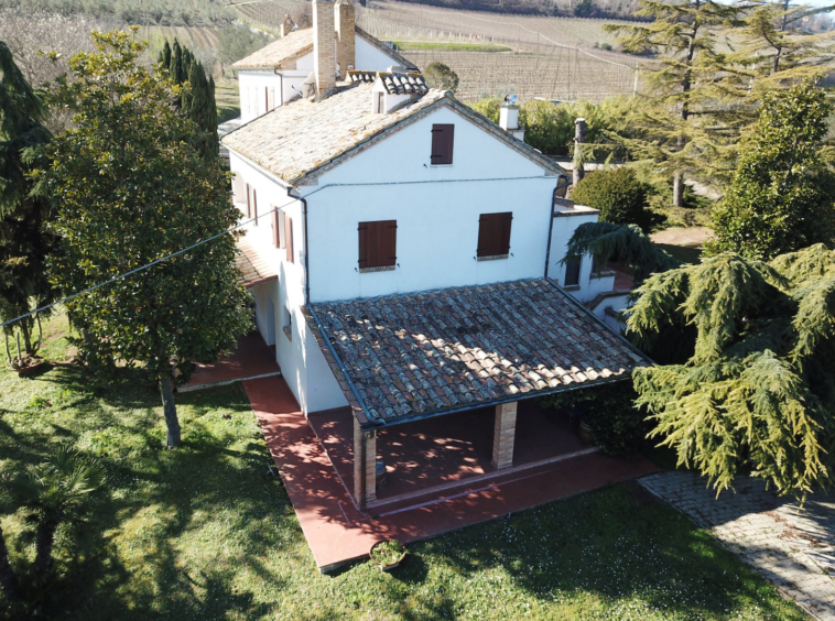 Country hosue with pool in le marche