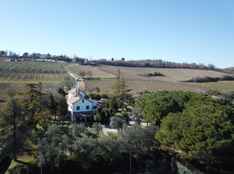 Country hosue with pool in le marche