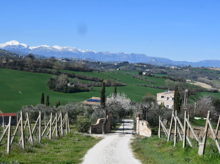 Country house with pool in Le Marche
