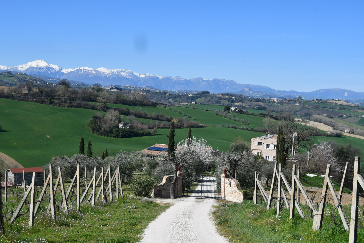 Country house with pool in Le Marche