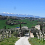 Country house in Petritoli