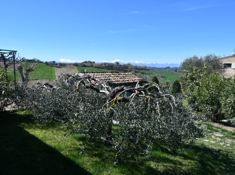 Country house with pool in Le Marche