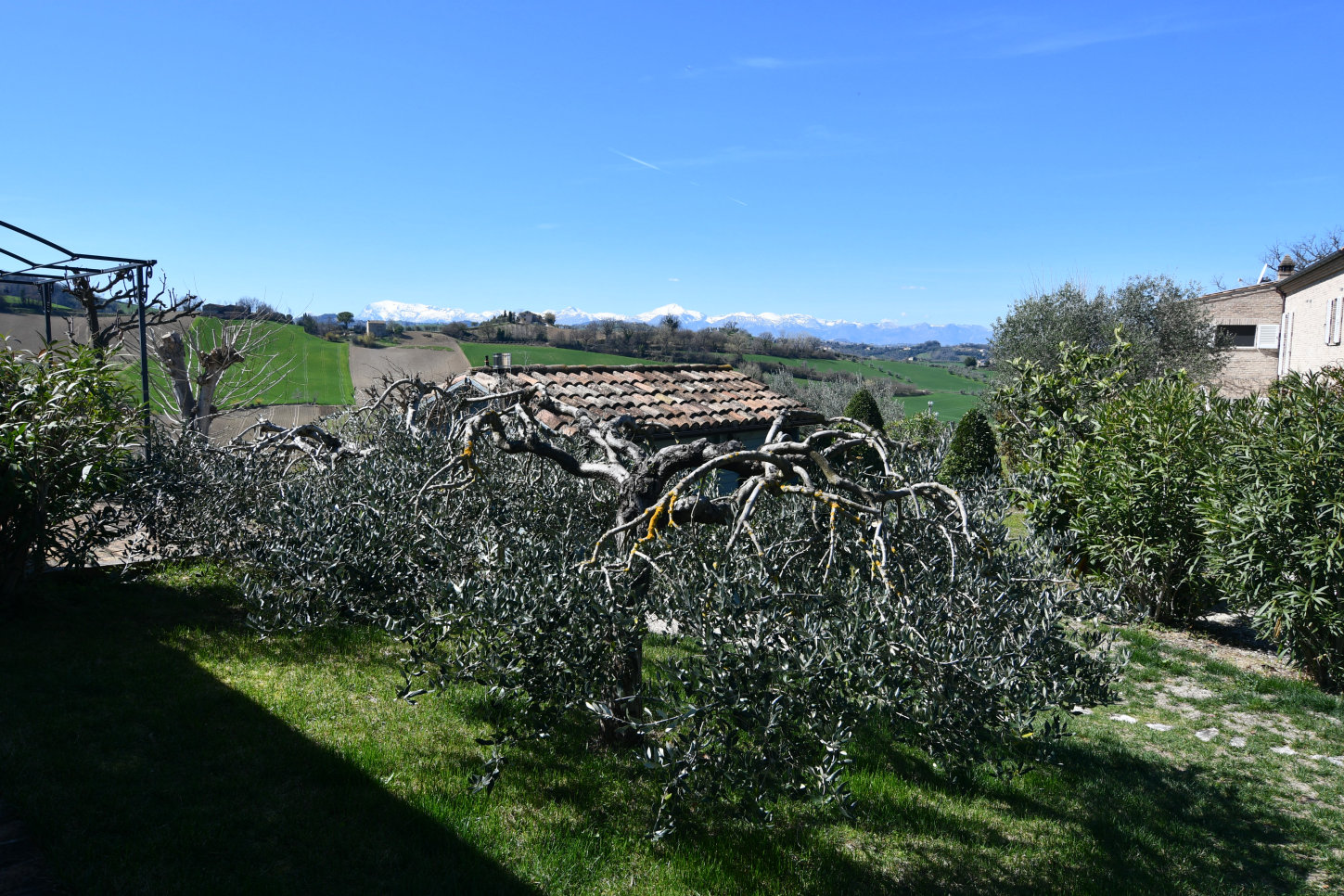 Country house with pool in Le Marche
