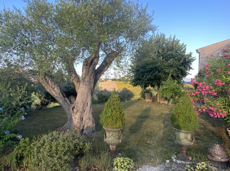 Country house with pool in Le Marche