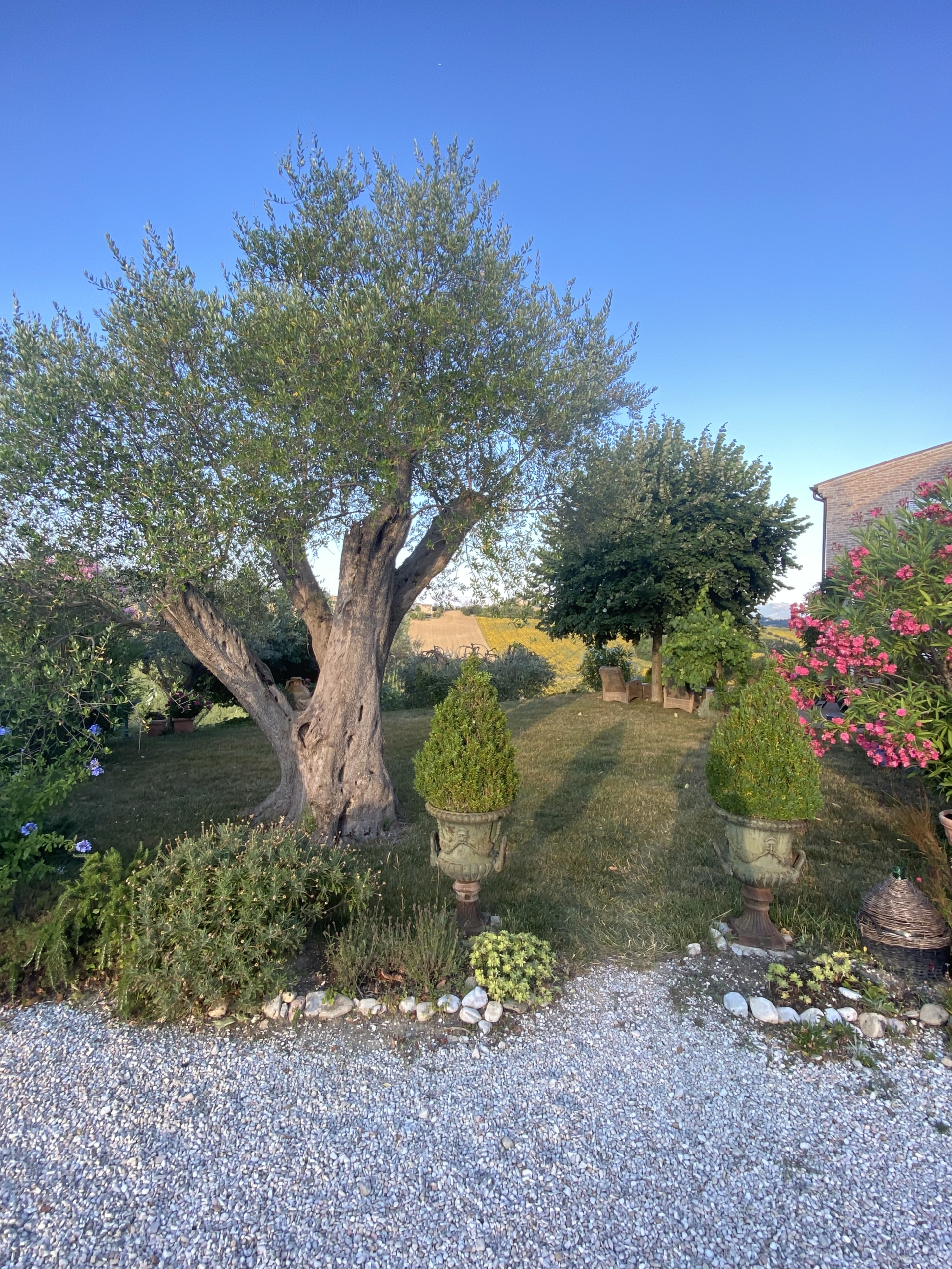 Country house with pool in Le Marche
