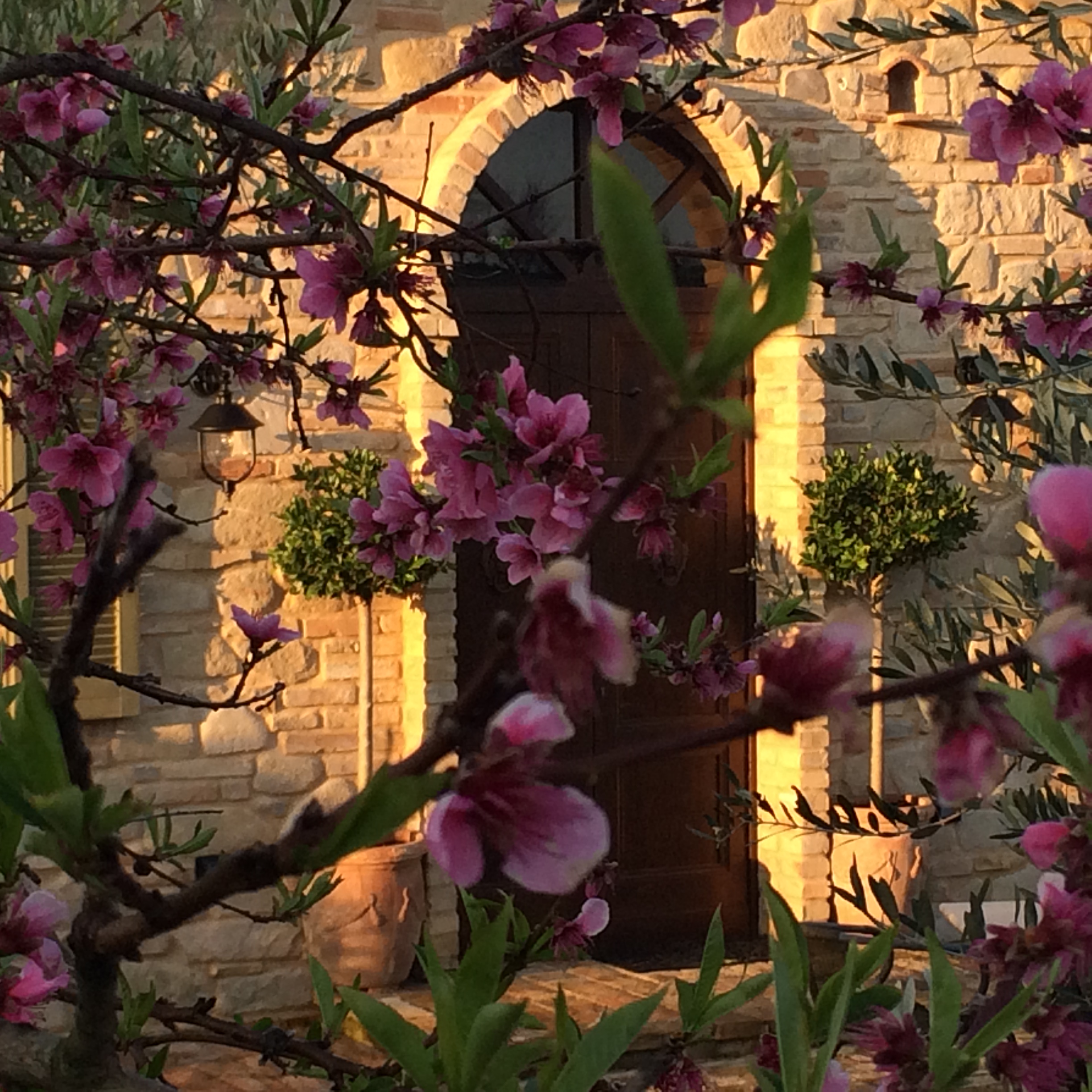 Country house with pool in Le Marche
