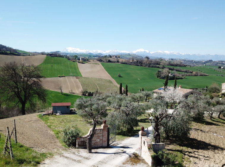Country house with pool in Le Marche