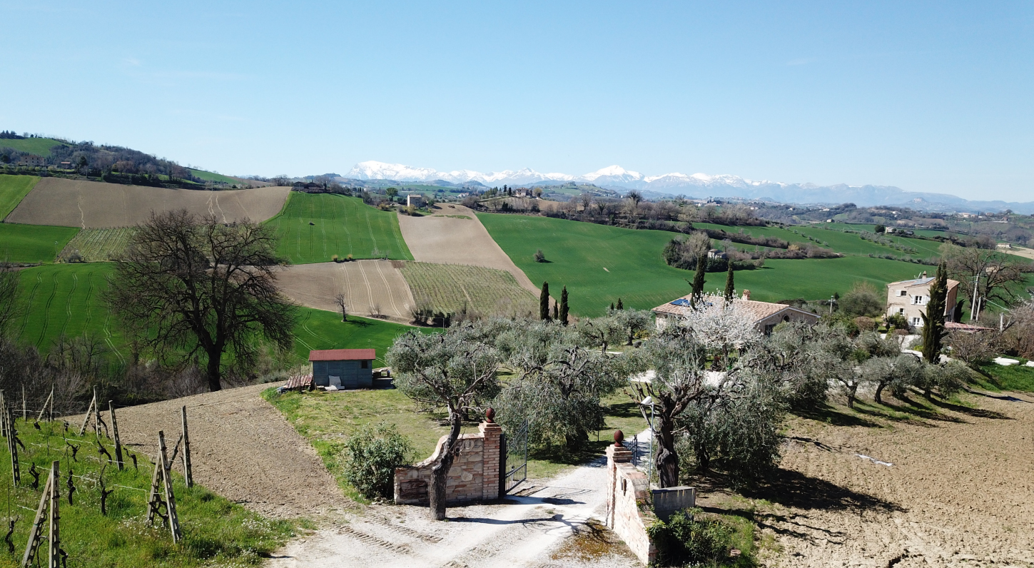 Country house with pool in Le Marche