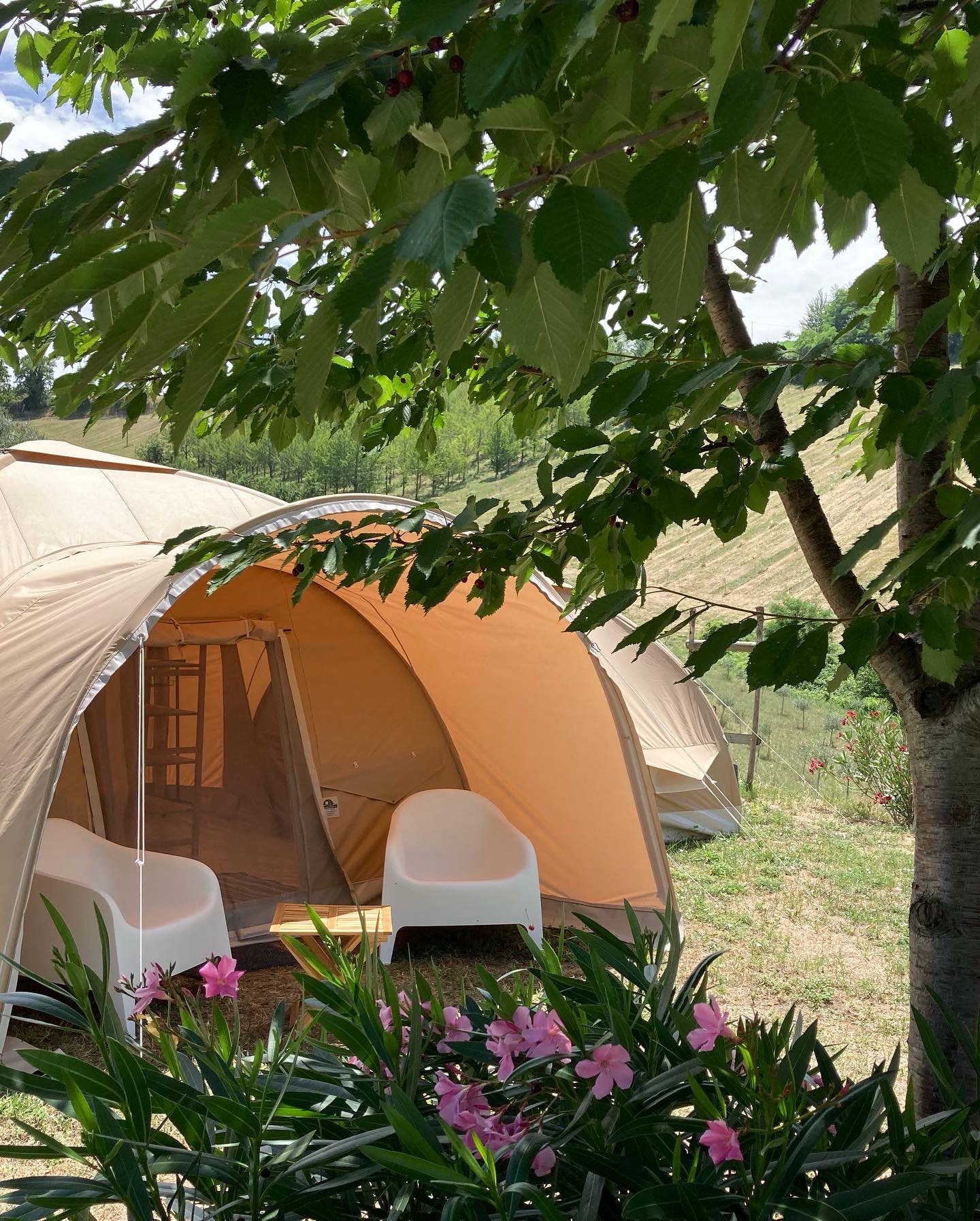 Agriturismo with camping in le marche