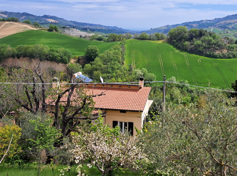 Country house with sea view