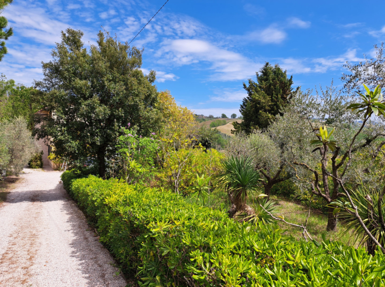 Country house in Le Marche