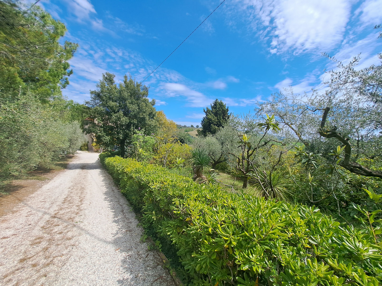 Country house in Le Marche