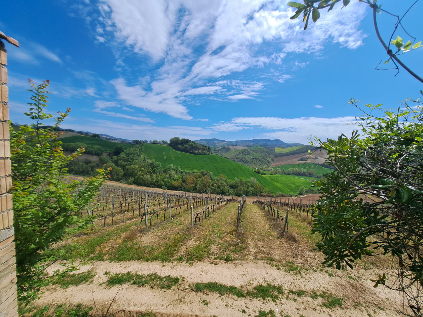 Country house in Le Marche