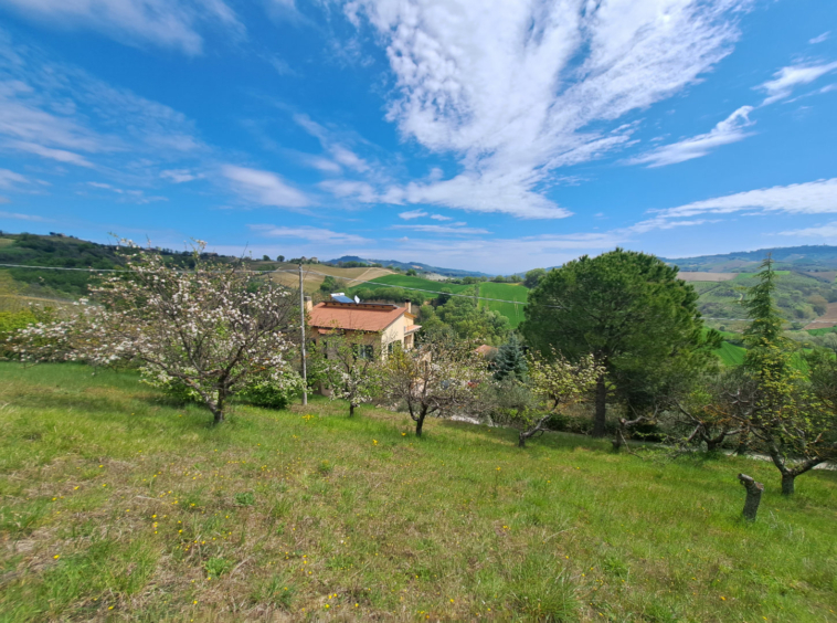 Country house in Le Marche