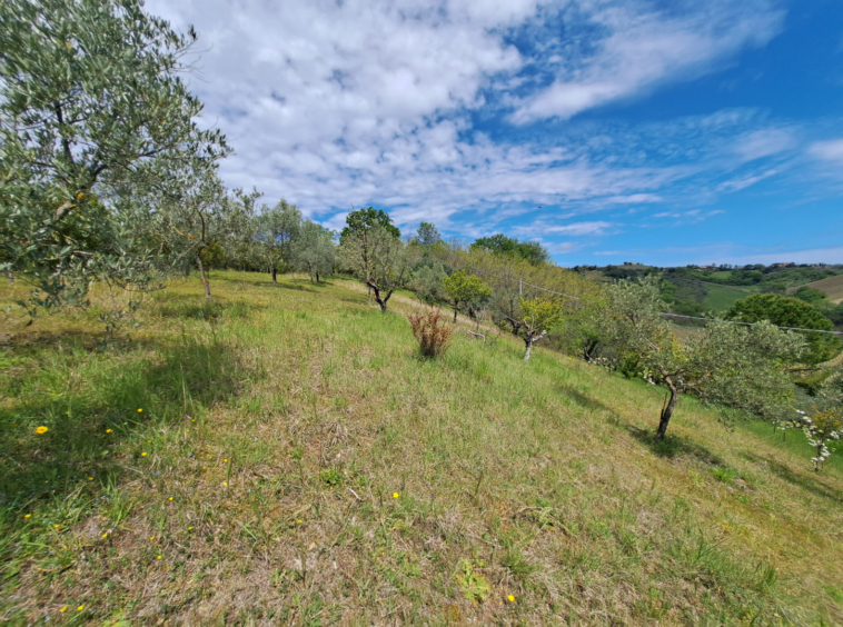 Country house in Le Marche