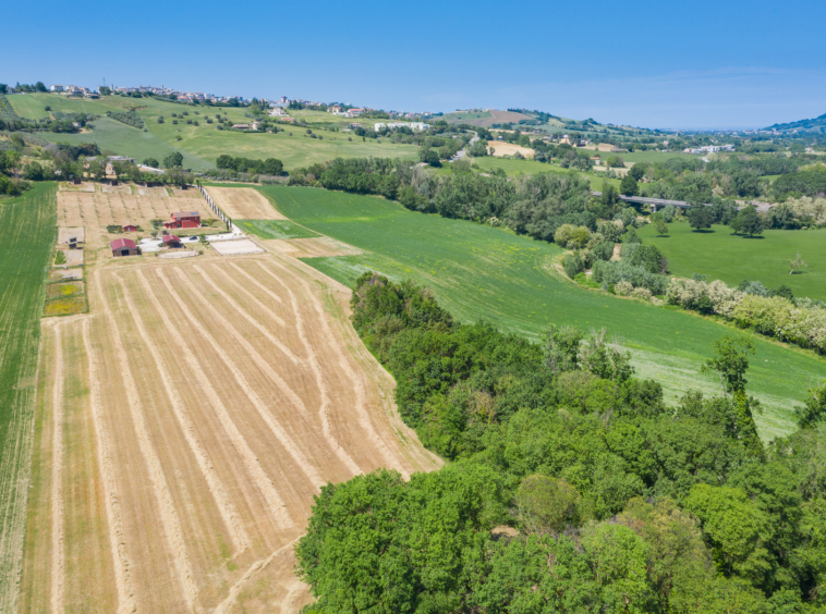 Country house with stables in Le Marche