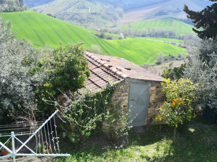 Country house in Le Marche