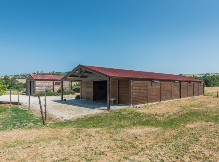 Country house with stables in Le Marche