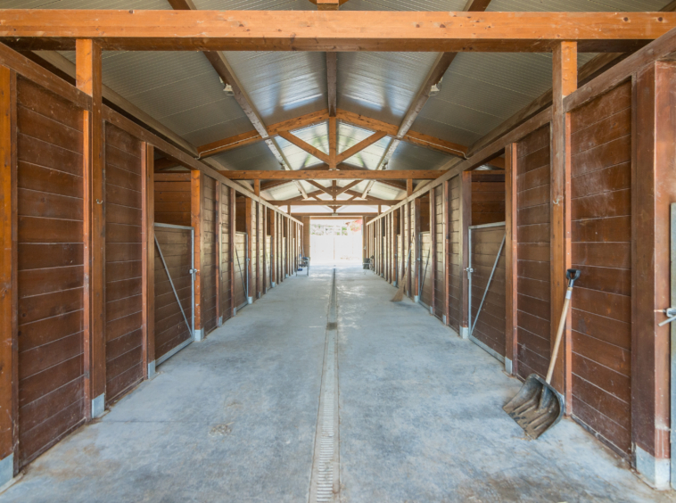 Country house with stables in Le Marche